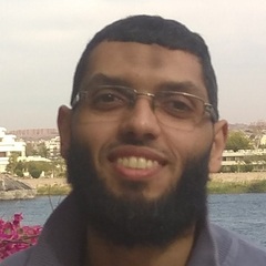 mahmoud  fouad, Technical Architect