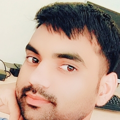 Er Ravi  Kumar