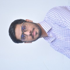 Waleed Hafeez, Software Developer