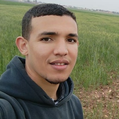 عبد القادر اشويخ, Call Center Agent
