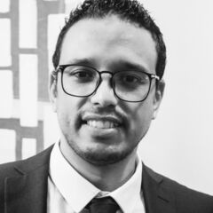 Ahmed Adly,  Consultant- Enterprise Architecture