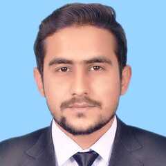 Hassan Raza