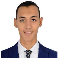 ahmed fahmy