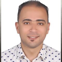 Basem Gamal Abdelhady Elbana, Branch Accountant