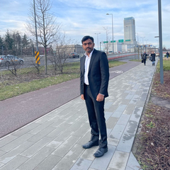 Neelagandan Basuvaraj, SAP Consultant – Data Migration