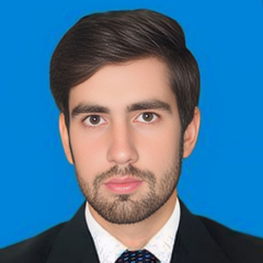 Muhammad Naeem  Khan, Electrical Engineer