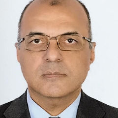 Ibrahim EL Maadawi, Credit Control Department Manager