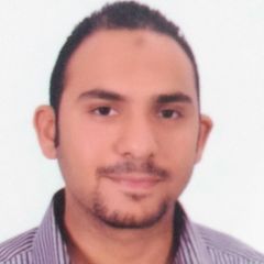 Mohamed Mahmoud, Account Manager