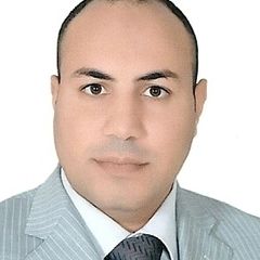 Wael Abdelraof, project manger
