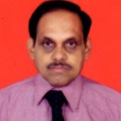 Arvind Srinivasa Venkateswara Rao Devulapalli, Consultant-Process -Commissioning