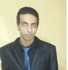 محمود السيد محمود محمد بندارى, محاسب قانونى