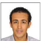 Hussein El-sayed, Sales and procurement engineer