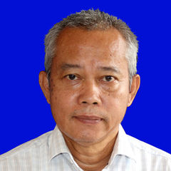 Wasis Sumartono, Freelance Public Health Researcher