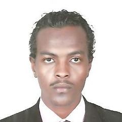 jamal aldeen mohamed hassan, Civil Project Engineer
