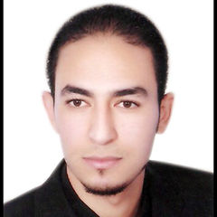 mohamed magdy elsayed abd elaziz abd elaziz