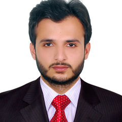 Abbas Nasir, Project Coordinator
