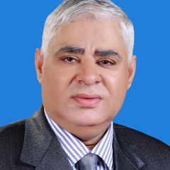 Elbayoumy Elsamanoudy, •	Power System Contractual Advisor,