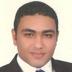 ahmed abdel mohsen