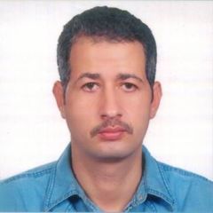حسام الدين ismail, مدخال بيانات