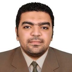 محمد حواس, internal audit section head