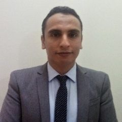 Bahaa Al Mahdy, Financial Controller