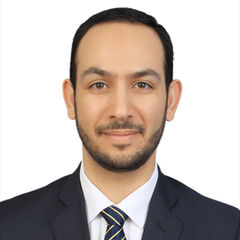 أشم المصري, Internal Audit Manager