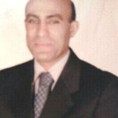 Mohamed Salama, Project Manager