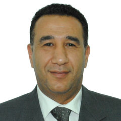 ياسر الخولي, Vice President Commercial 