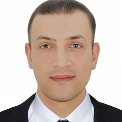mohamed Hassan, Document Controller