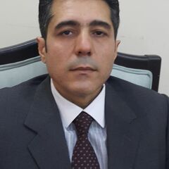 Yanal Hassuneh, Trade Analyst