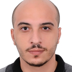Ali Ahmed Elfawal, Consultant Data entry