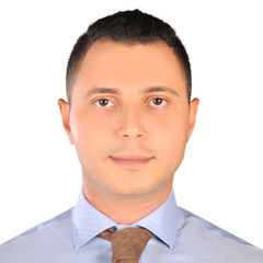 Hossam Alymany, Executive manager 