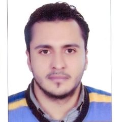 محمد الشافعي, Assistant Store Manager