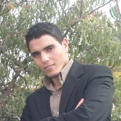 شاكر اسماعيل احمد alkhalil, Software developer
