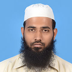 naseeruddin mohammad, Sr. Designer