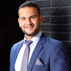 Wael Abu-Aisheh, Software Developer