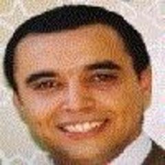 Tarek Mahmoud, Area Sales Manager