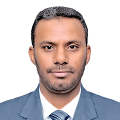 Khalid Gaweesh, IT consultant (Freelancer)