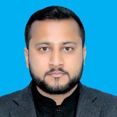 Muhammad Usama Javed, Project Controller