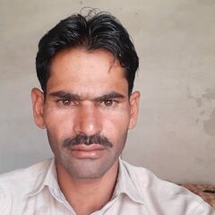 Arshad  Shaheen