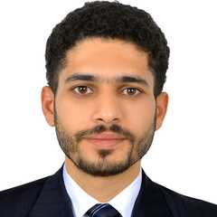 Mahmoud Abushawish, Accountant