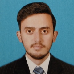 Hamza Lodhi