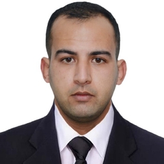 ربيع بن عثمان, عسكري