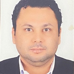 Mohamed Kamal Metwalli