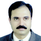 Syed Faiz ul Hassan Syed