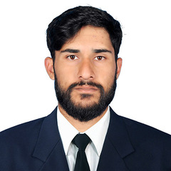 zarshab rafiq