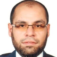 Ahmed Ibrahim Shebl Ibrahim, MEP Accounts Manager