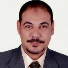 هشام سعيد حسن محمد الشبراوى, مدير مالى