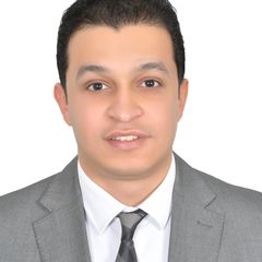 Mahmoud Abdelhakam, Sales Manager