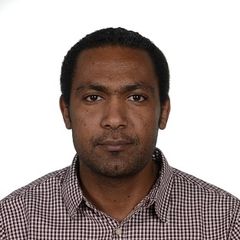 Ashraf Abdellatif Ahmed Mohammed Mohamed, RNC NodeB expert